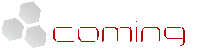 Logo di NEW COMING