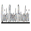 Logo di QUINTO ELEMENTO PARRUCCHIERI