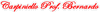 Logo di CARPINIELLO PROF. BERNARDO