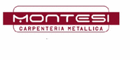 Logo di ALBERTO MONTESI CARPENTERIA