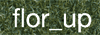 Logo di FIORI FLOR UP