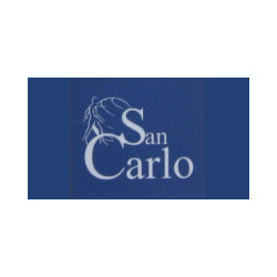 Logo di AMBULATORIO POLISPECIALISTICO SAN CARLO S.R.L.