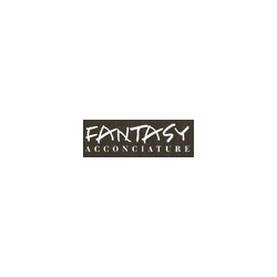 Logo di FANTASY ACCONCIATURE