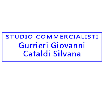 Logo di STUDIO COMMERCIALISTI GURRIERI PROF. GIOVANNI E CATALDI D.SSA SILVANA