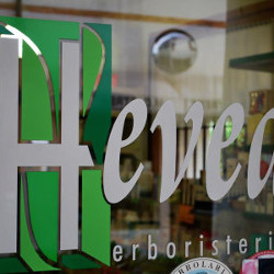 Logo di ERBORISTERIA HEVEA