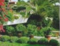 Logo di VIVAI PIANTE EDEN GREEN