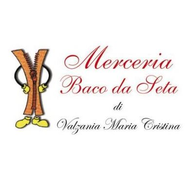 Logo di MERCERIA BACO DA SETA