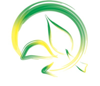 Logo di ECOSOLUTION snc
