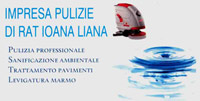 Logo di IMPRESA DI PULIZIE DI RAT
