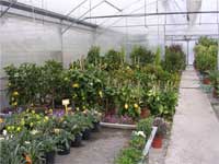 Logo di GARDEN FREDIANI