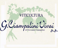 Logo di CIAMPALINI VIVAI