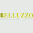 Logo di BELLUZZO