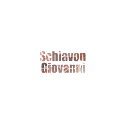 Logo di SCHIAVON GIOVANNI