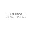 Logo di KALEIDOS