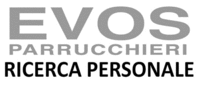 Logo di NOI PARRUCCHIERI EVOS