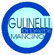GULINELLI di DAVIDE MANCINO