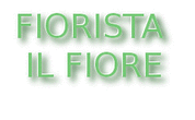 Logo di FIORISTA IL FIORE