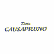 Logo di CAUSAPRUNO GIORGIO