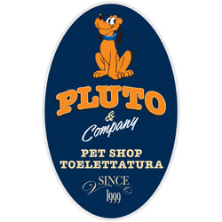 Logo di PLUTO & COMPANY