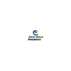 Logo di PNEUMATICI GRISI NELLO