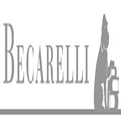 Logo di LIBRERIA BECARELLI
