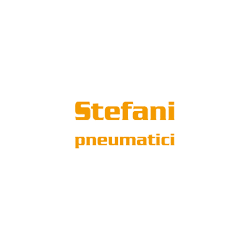 Logo di STEFANI PNEUMATICI