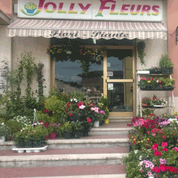 Logo di FIORISTA JOLLY FLEURS
