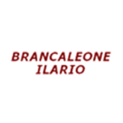 Logo di BRANCALEONE ILARIO & C. - LAVORAZIONE DEL FERRO