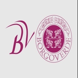 Logo di BORGOVERDE