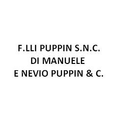 Logo di PUPPIN FRATELLI