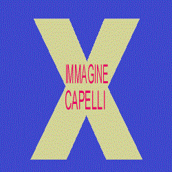 Logo di PARRUCCHIERE IMMAGINE CAPELLI