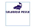 Logo di CALABRIA PESCA