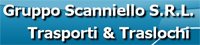 Logo di GRUPPO SCANNIELLO srl