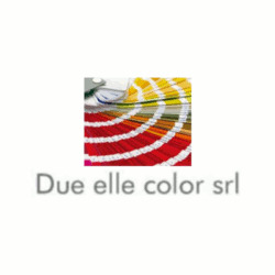 Logo di DUE ELLE COLOR