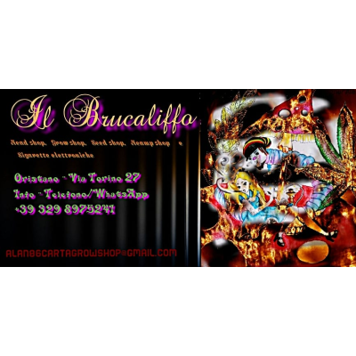 Logo di IL BRUCALIFFO