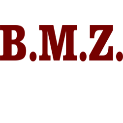 Logo di B.M.Z.