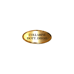 Logo di COLLARINI DOTT. DIEGO