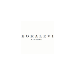 Logo di BORALEVI S.R.L