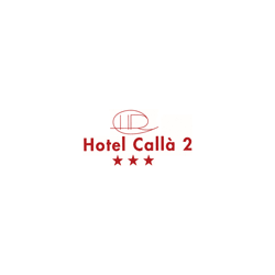 Logo di HOTEL CALLA' 2