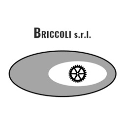 Logo di BRICCOLI