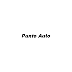 Logo di PUNTO AUTO