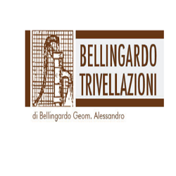 Logo di BELLINGARDO TRIVELLAZIONI