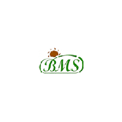 Logo di B.M.S.