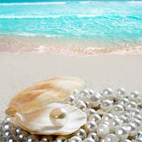 Logo di PEARLS OF SICILY