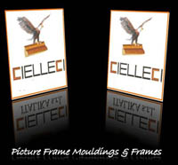 Logo di NUOVA CIELLECI