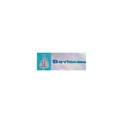 Logo di BEVINCASA SAS