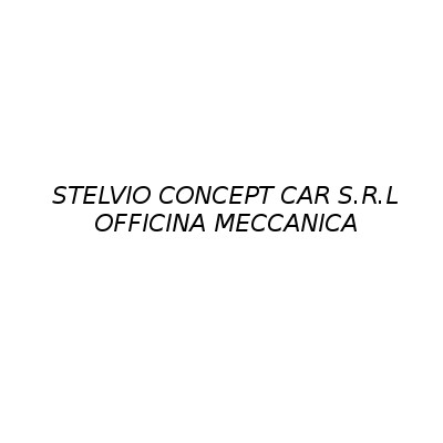 Logo di STELVIO CONCEPT CAR