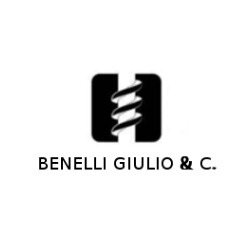 Logo di BENELLI GIULIO
