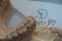 Logo di DENTAL SI