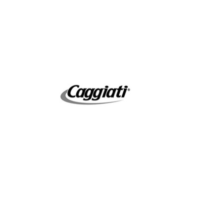 Logo di CAGGIATI SPA